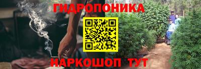 ГАЛЛЮЦИНОГЕННЫЕ ГРИБЫ Будённовск
