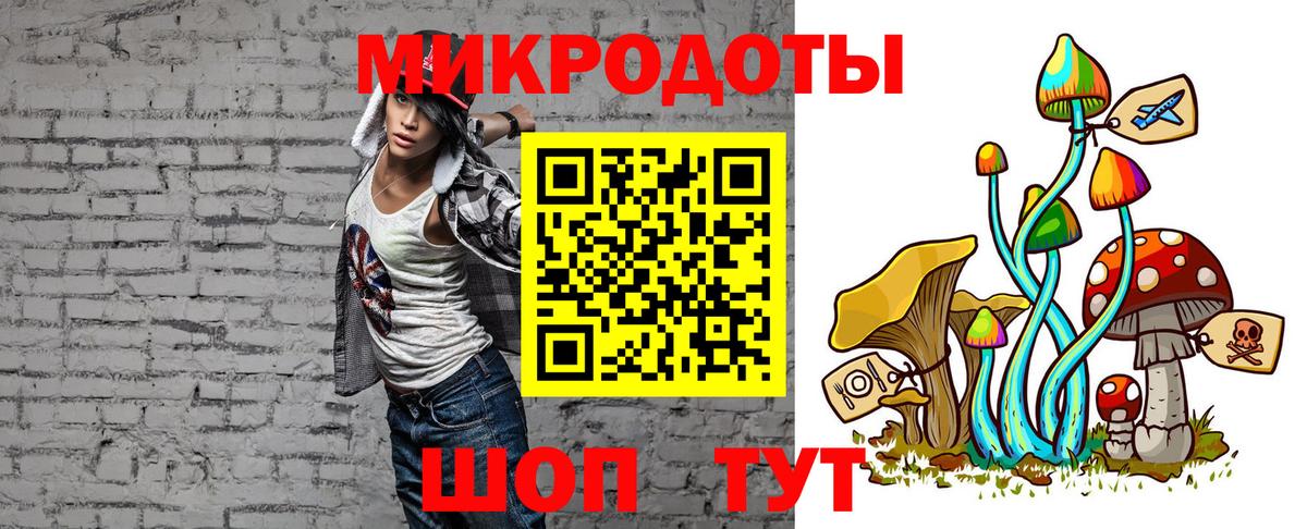 Псилоцибиновые грибы Psilocybe Киреевск